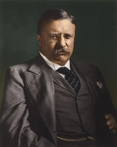 Theodore Roosevelt White T-Shirt - idPoster.com