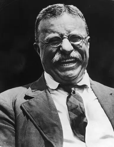 Theodore Roosevelt Wall Poster picture 478659