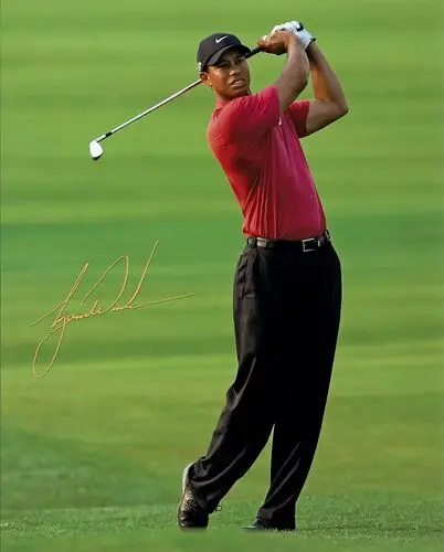 Tiger Woods Tote Bag - idPoster.com