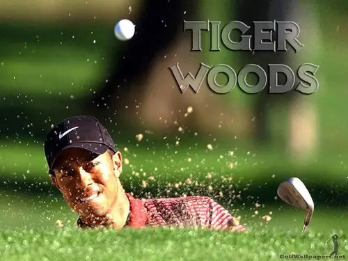 Tiger Woods Protected Face mask - idPoster.com