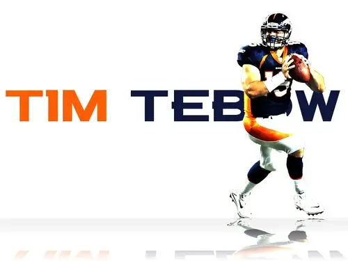 Tim Tebow Wall Poster picture 126302