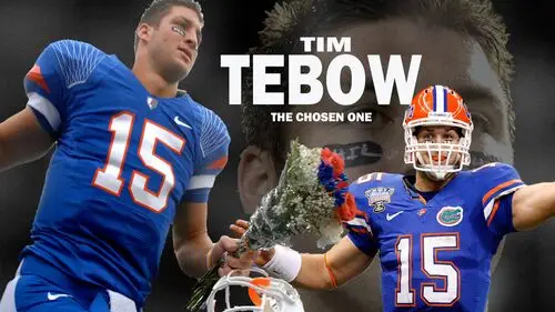 Tim Tebow Computer MousePad picture 126304