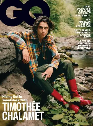 Timothee Chalamet Jigsaw Puzzle picture 18733
