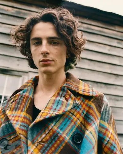 Timothee Chalamet Jigsaw Puzzle picture 18737