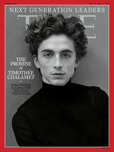 Timothee Chalamet Jigsaw Puzzle picture 1041355