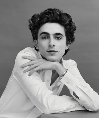 Timothee Chalamet Jigsaw Puzzle picture 1041356