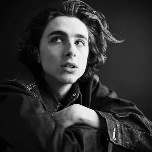 Timothee Chalamet Computer MousePad picture 918249