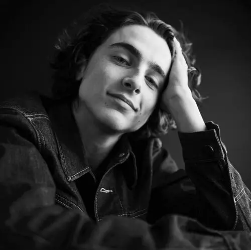 Timothee Chalamet Wall Poster picture 918250