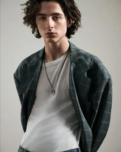 Timothee Chalamet Wall Poster picture 918260