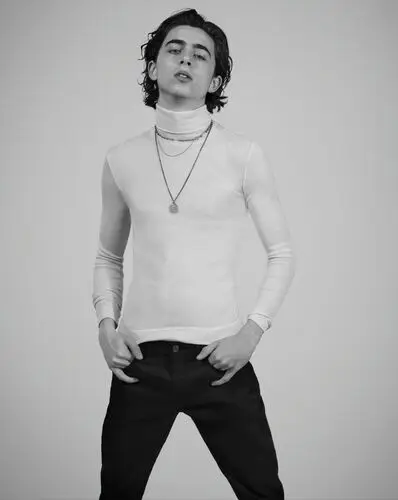 Timothee Chalamet Wall Poster picture 918262