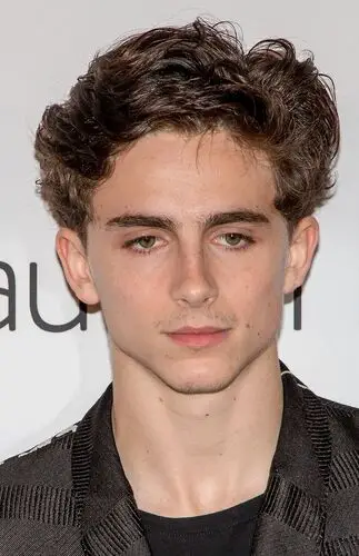 Timothee Chalamet Jigsaw Puzzle picture 918268