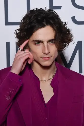 Timothee Chalamet Jigsaw Puzzle picture 918270