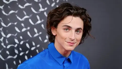 Timothee Chalamet Jigsaw Puzzle picture 918271