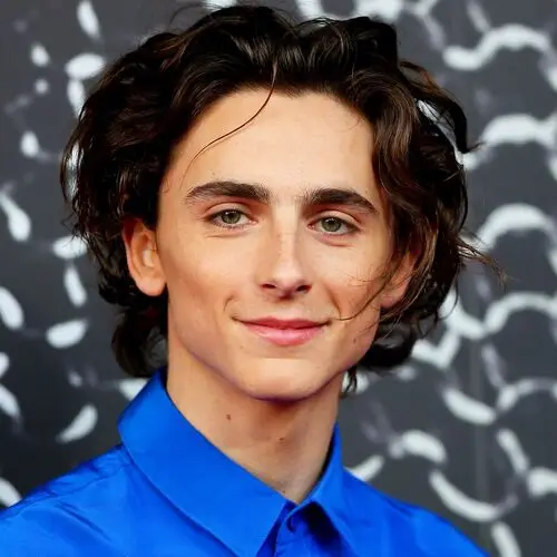 Timothee Chalamet Computer MousePad picture 918277