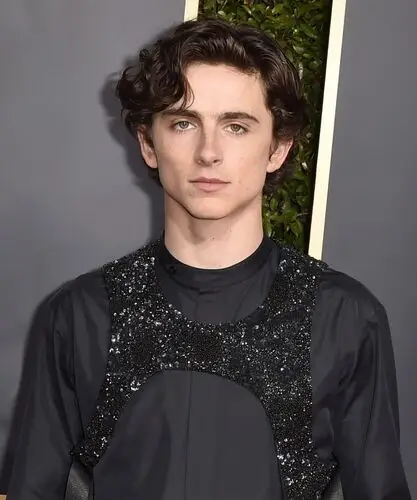 Timothee Chalamet Computer MousePad picture 918279
