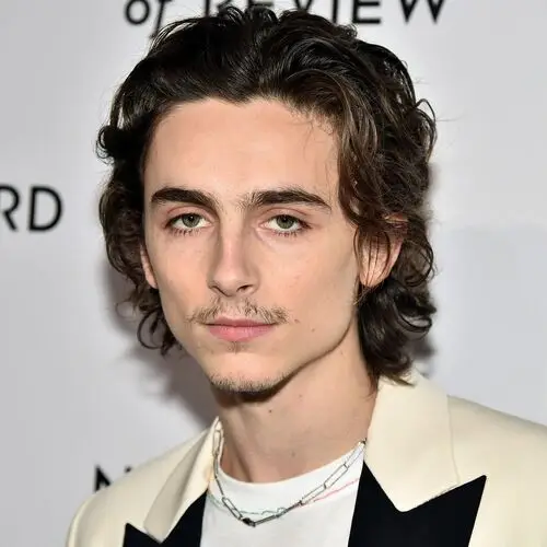Timothee Chalamet Computer MousePad picture 918281