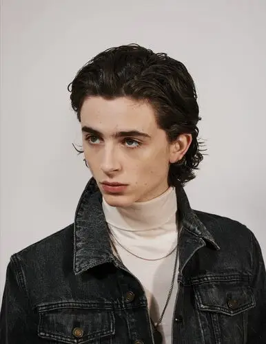 Timothee Chalamet Computer MousePad picture 918282