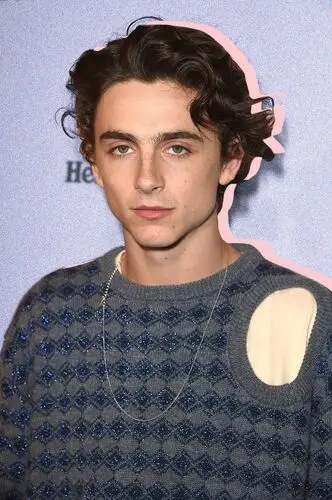Timothee Chalamet Computer MousePad picture 918285