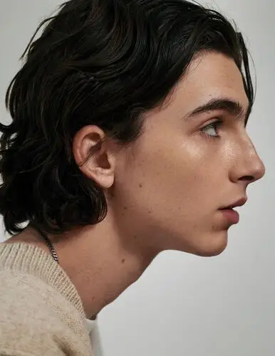 Timothee Chalamet Wall Poster picture 918296
