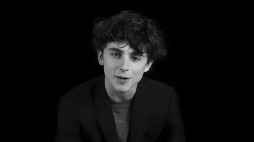 Timothee Chalamet Wall Poster picture 918297