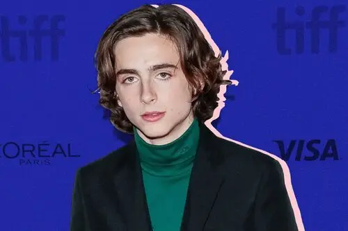 Timothee Chalamet Wall Poster picture 918298