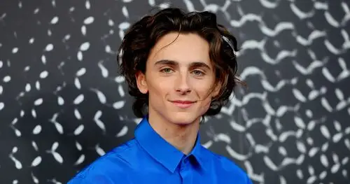 Timothee Chalamet Jigsaw Puzzle picture 918300
