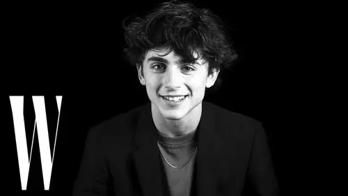 Timothee Chalamet Wall Poster picture 918303