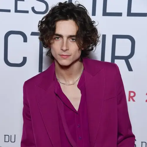 Timothee Chalamet Jigsaw Puzzle picture 918304