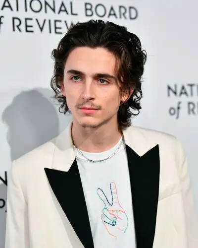 Timothee Chalamet Wall Poster picture 918306