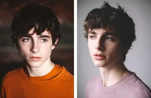 Timothee Chalamet Wall Poster picture 918311