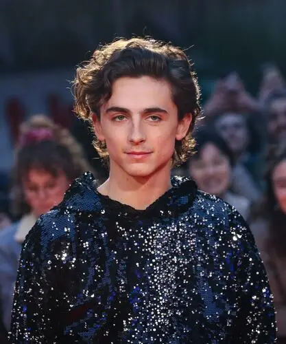 Timothee Chalamet Jigsaw Puzzle picture 918316