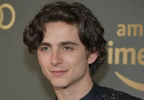 Timothee Chalamet Computer MousePad picture 918334