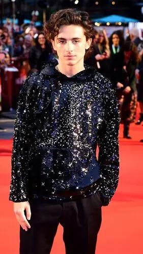 Timothee Chalamet Jigsaw Puzzle picture 918336