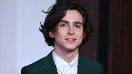 Timothee Chalamet Computer MousePad picture 918339