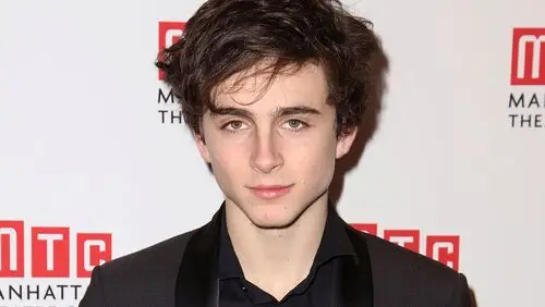 Timothee Chalamet Wall Poster picture 918341