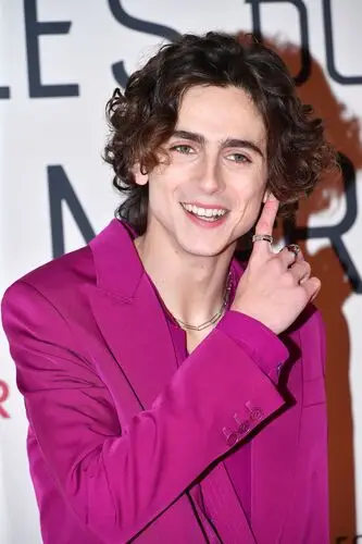 Timothee Chalamet Computer MousePad picture 918343