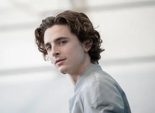 Timothee Chalamet Protected Face mask - idPoster.com