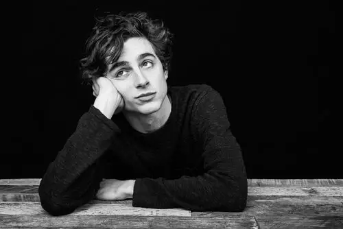 Timothee Chalamet Wall Poster picture 918345