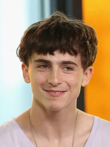 Timothee Chalamet Jigsaw Puzzle picture 918347