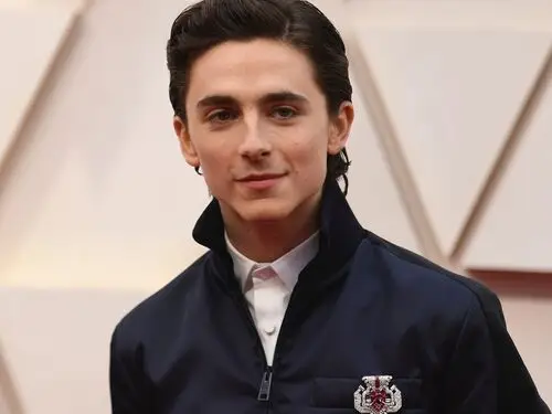 Timothee Chalamet Jigsaw Puzzle picture 918352
