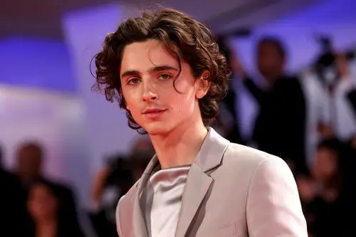 Timothee Chalamet Wall Poster picture 918353