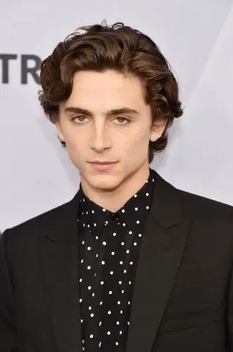 Timothee Chalamet Jigsaw Puzzle picture 918354
