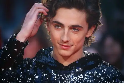 Timothee Chalamet Wall Poster picture 918355