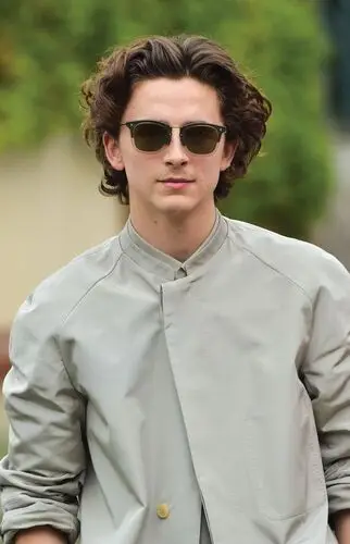Timothee Chalamet Wall Poster picture 918357