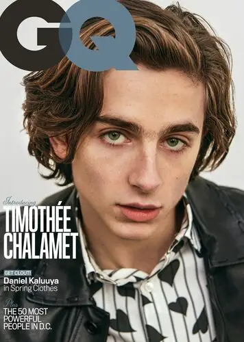 Timothee Chalamet Wall Poster picture 918365