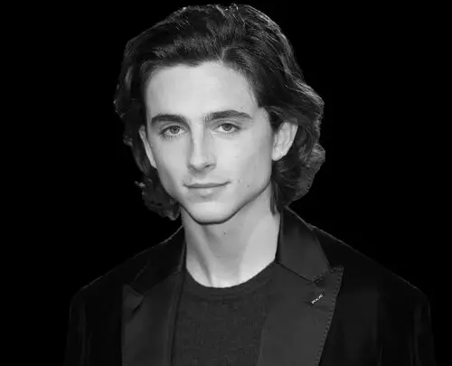 Timothee Chalamet Wall Poster picture 918367