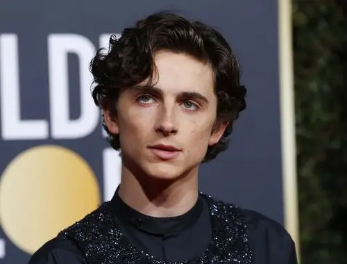 Timothee Chalamet Jigsaw Puzzle picture 918376