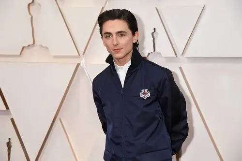 Timothee Chalamet Jigsaw Puzzle picture 918380