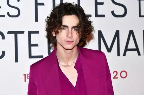 Timothee Chalamet Wall Poster picture 918382