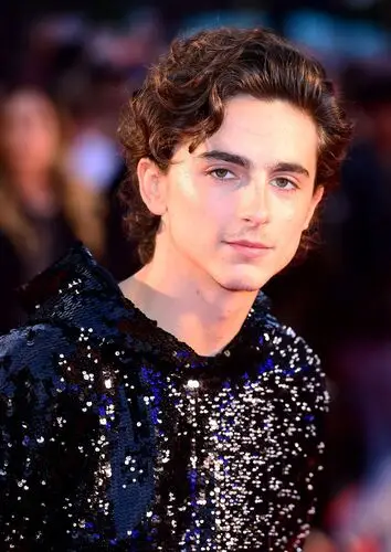 Timothee Chalamet Wall Poster picture 918385